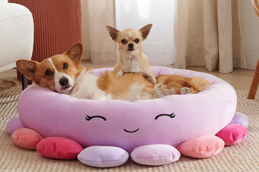 Popular Squishmallow Pet Bed
